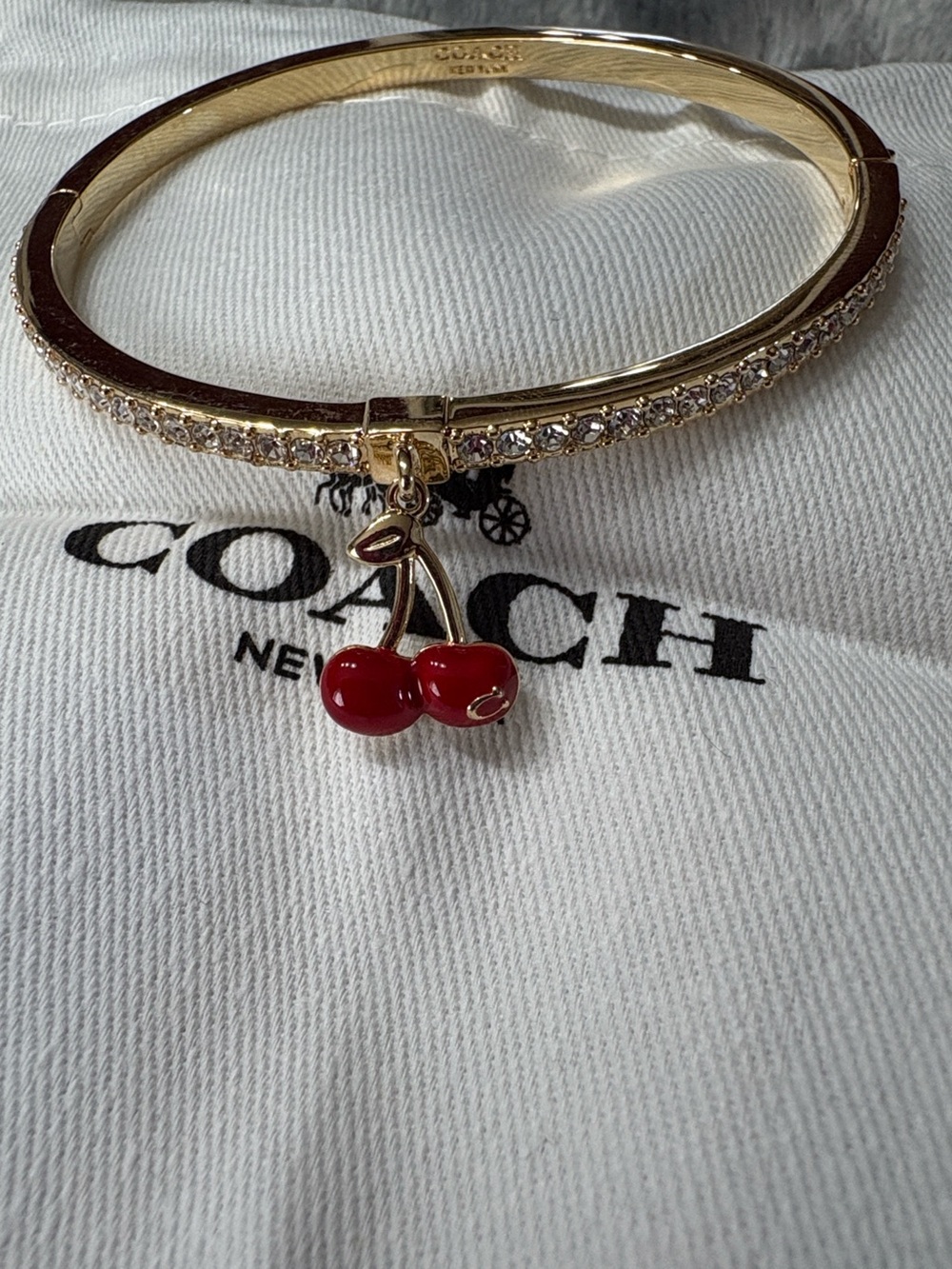 Coach Cherry Bracelet